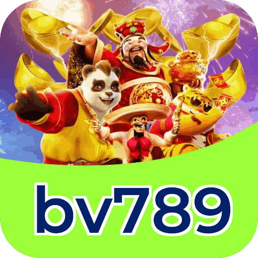 Interface bv789